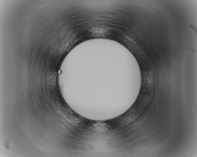 X0000102240603200808221332