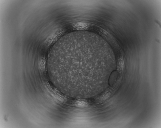 X0000102240604200808221332