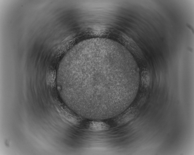 X0000102240605200808221332