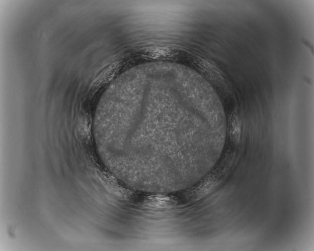 X0000102240607200808221332