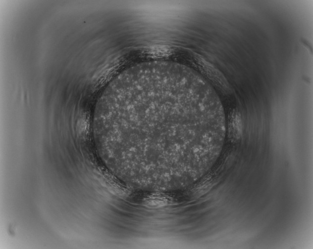 X0000102240608200808221332