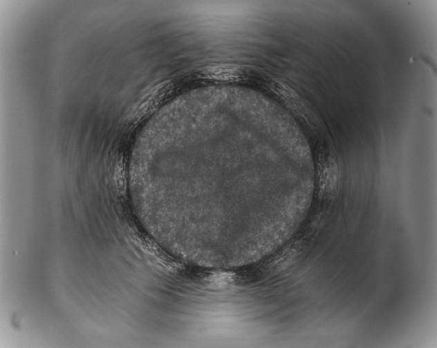 X0000102240609200808221332