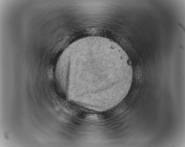 X0000102240611200808221332