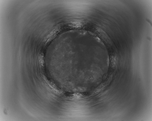 X0000102240612200808221332