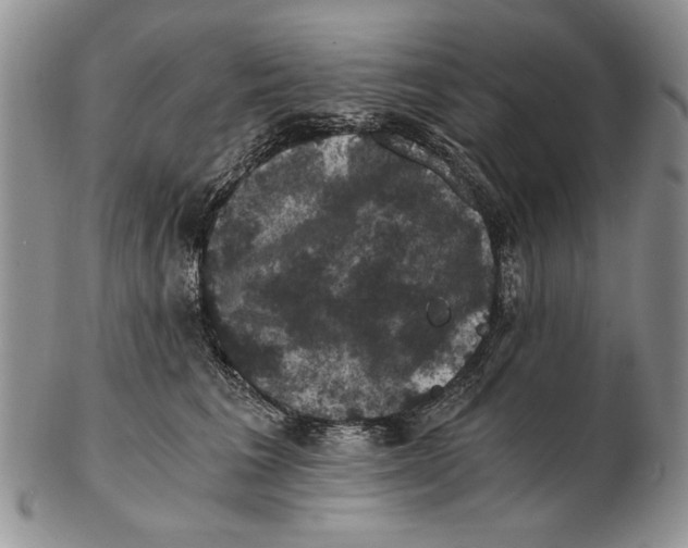 X0000102240613200808221332