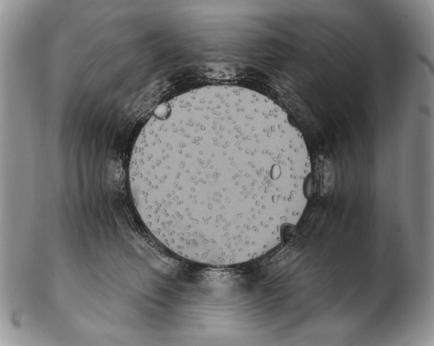 X0000102240614200808221332