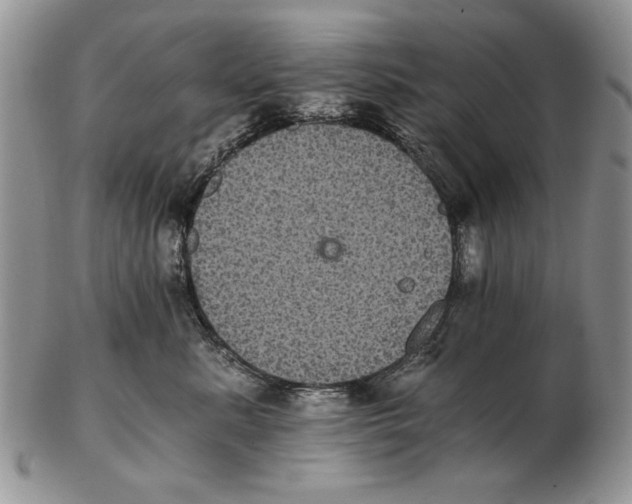 X0000102240619200808221332