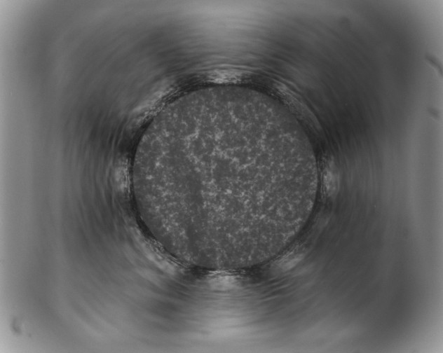 X0000102240620200808221332