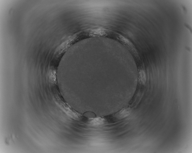 X0000102240621200808221332