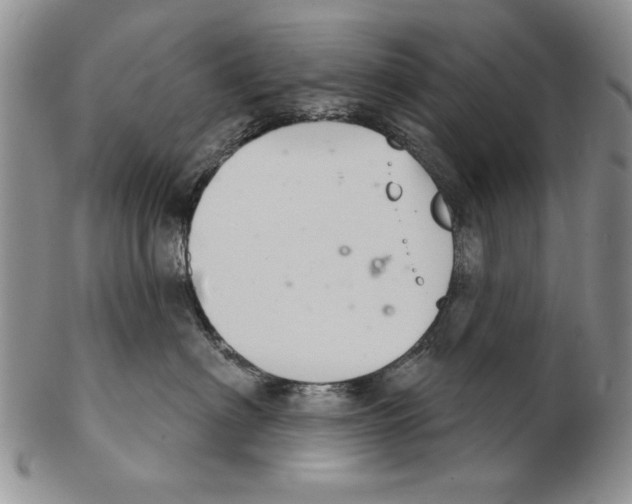 X0000102240622200808221332