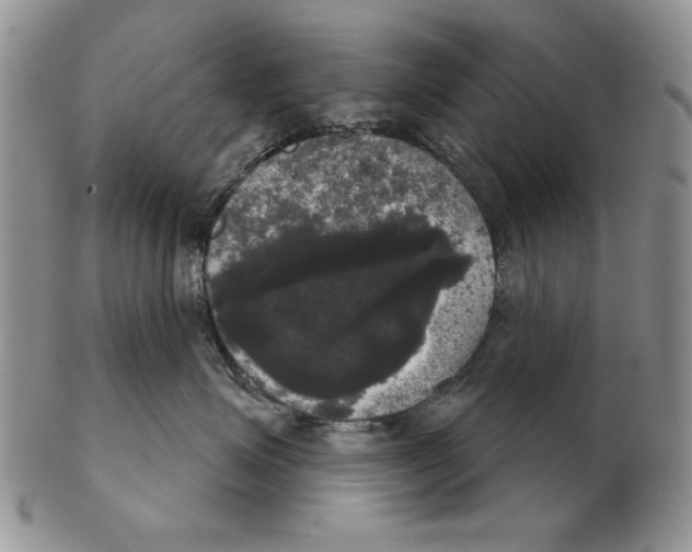 X0000102240623200808221332