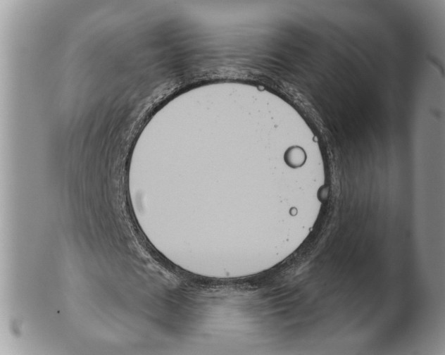 X0000102240625200808221331