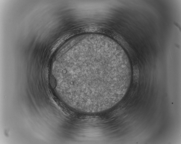 X0000102240626200808221331