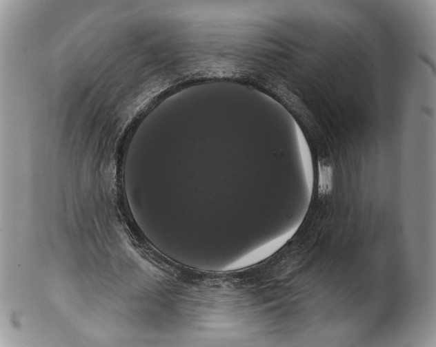 X0000102240627200808221331