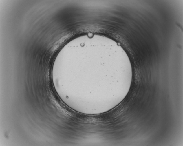 X0000102240629200808221331