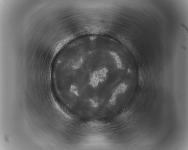 X0000102240630200808221331