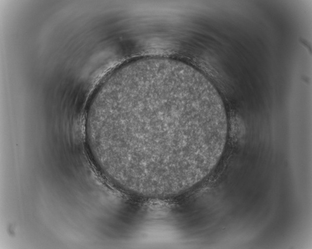 X0000102240632200808221331