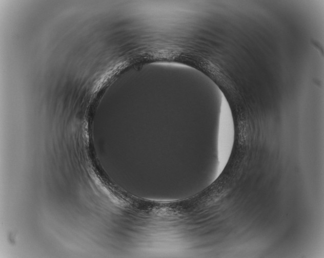 X0000102240634200808221331