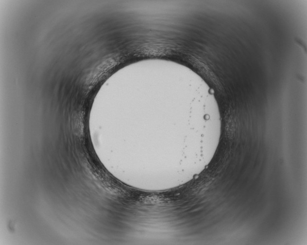 X0000102240635200808221331