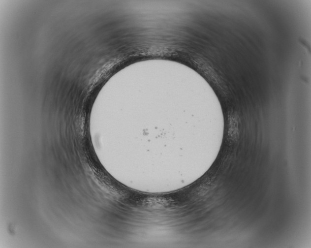 X0000102240636200808221331