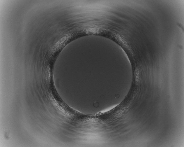 X0000102240637200808221331