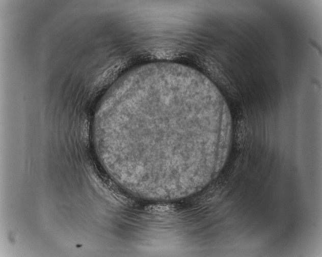 X0000102240639200808221331