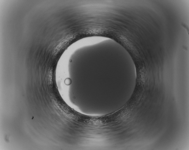 X0000102240640200808221331