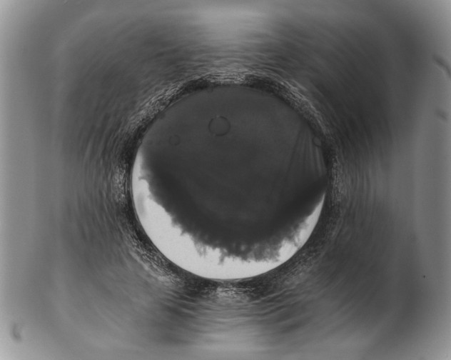 X0000102240641200808221331