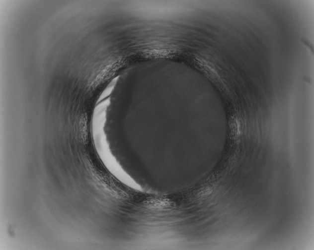 X0000102240642200808221331