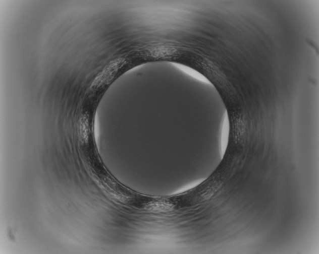 X0000102240644200808221331