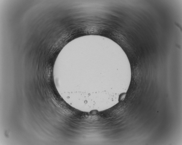 X0000102240645200808221331