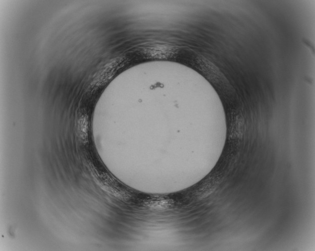 X0000102240646200808221331