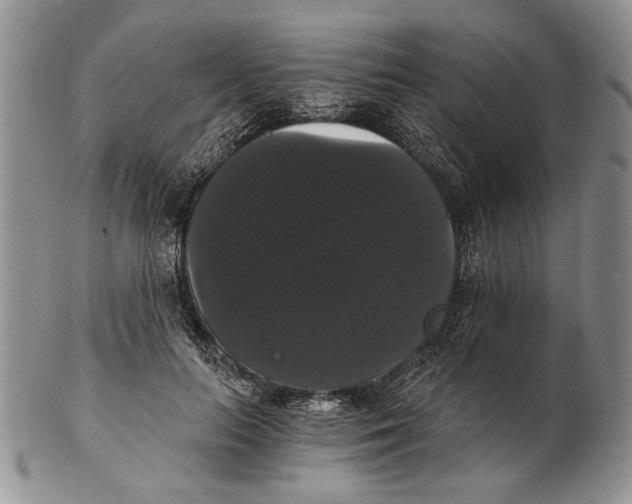 X0000102240647200808221331