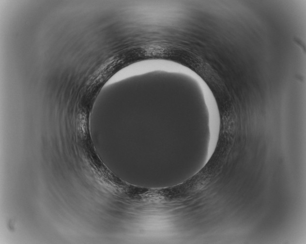 X0000102240648200808221331