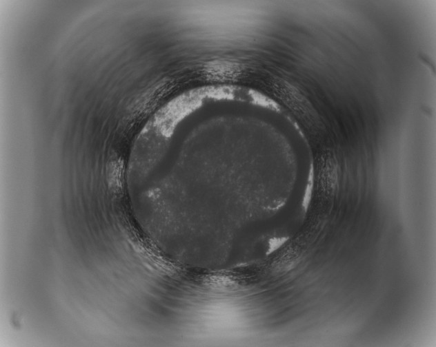 X0000102240649200808221331