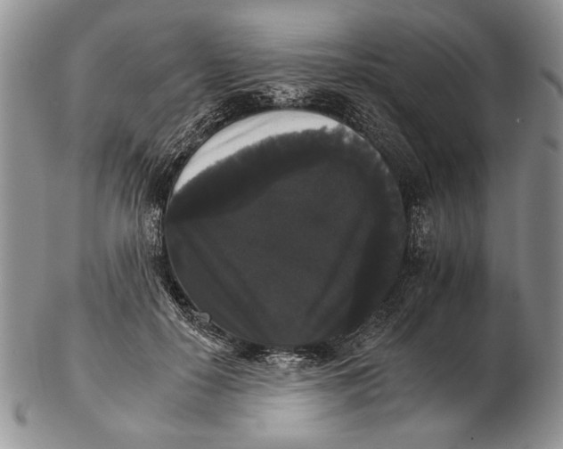 X0000102240650200808221331