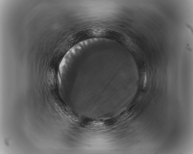 X0000102240651200808221331