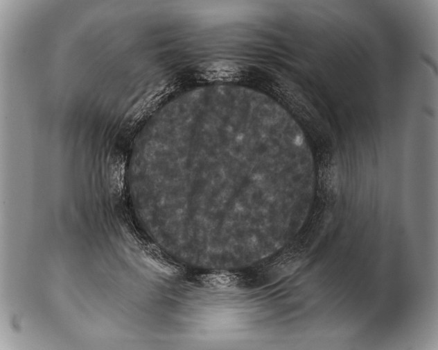 X0000102240652200808221331