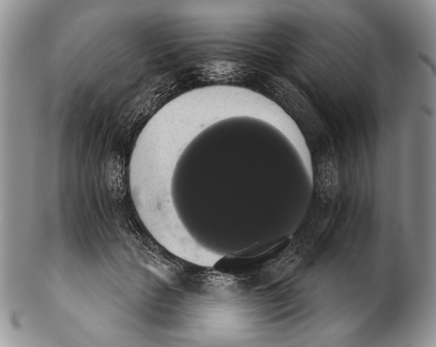 X0000102240653200808221331