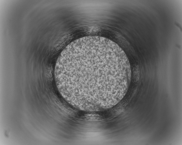 X0000102240654200808221331