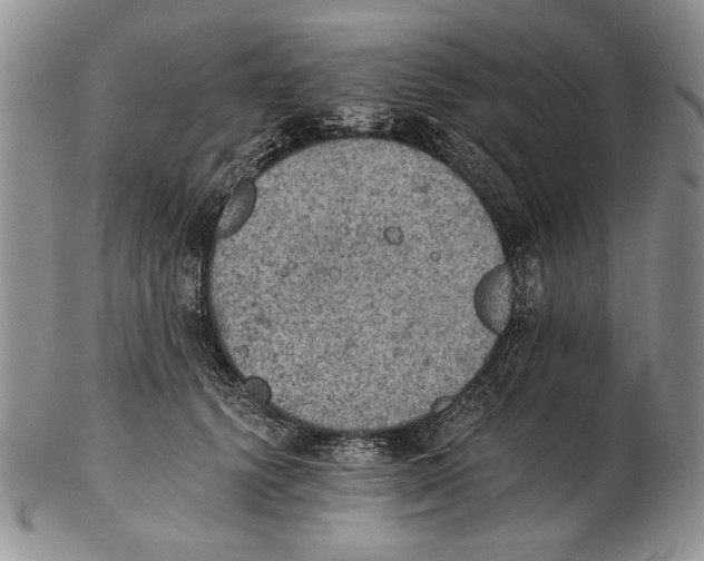 X0000102240656200808221331