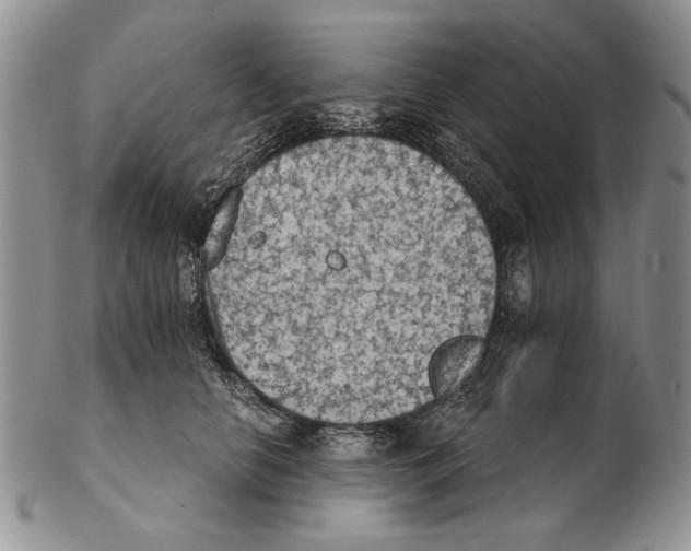 X0000102240658200808221331