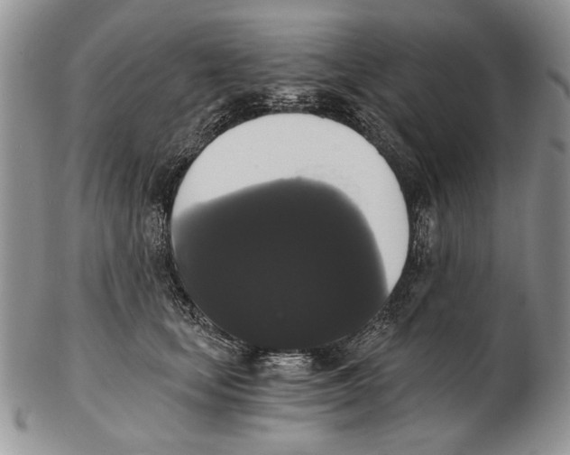 X0000102240659200808221332