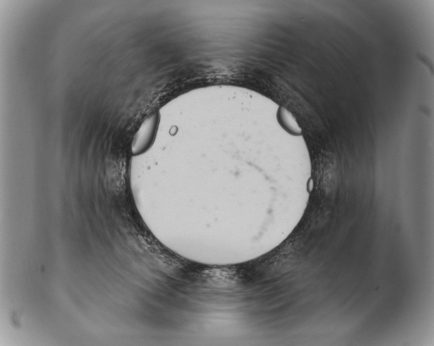 X0000102240660200808221332