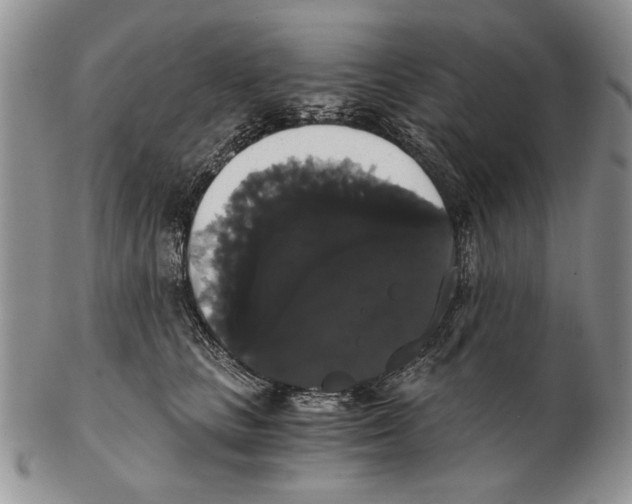 X0000102240661200808221332