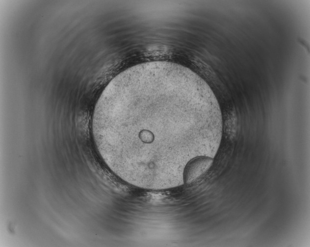 X0000102240662200808221332