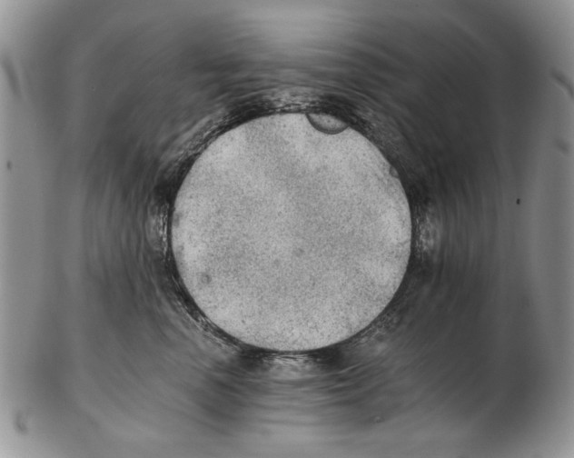 X0000102240666200808221332