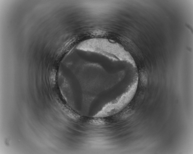 X0000102240668200808221332