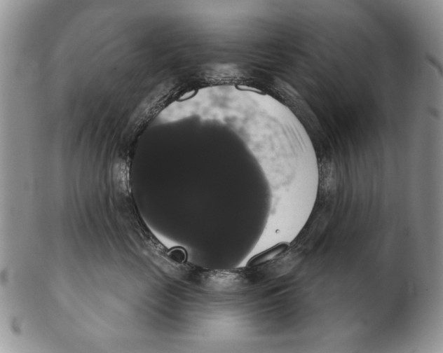 X0000102240669200808221332