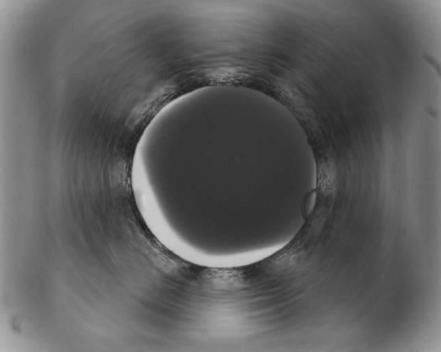 X0000102240670200808221332